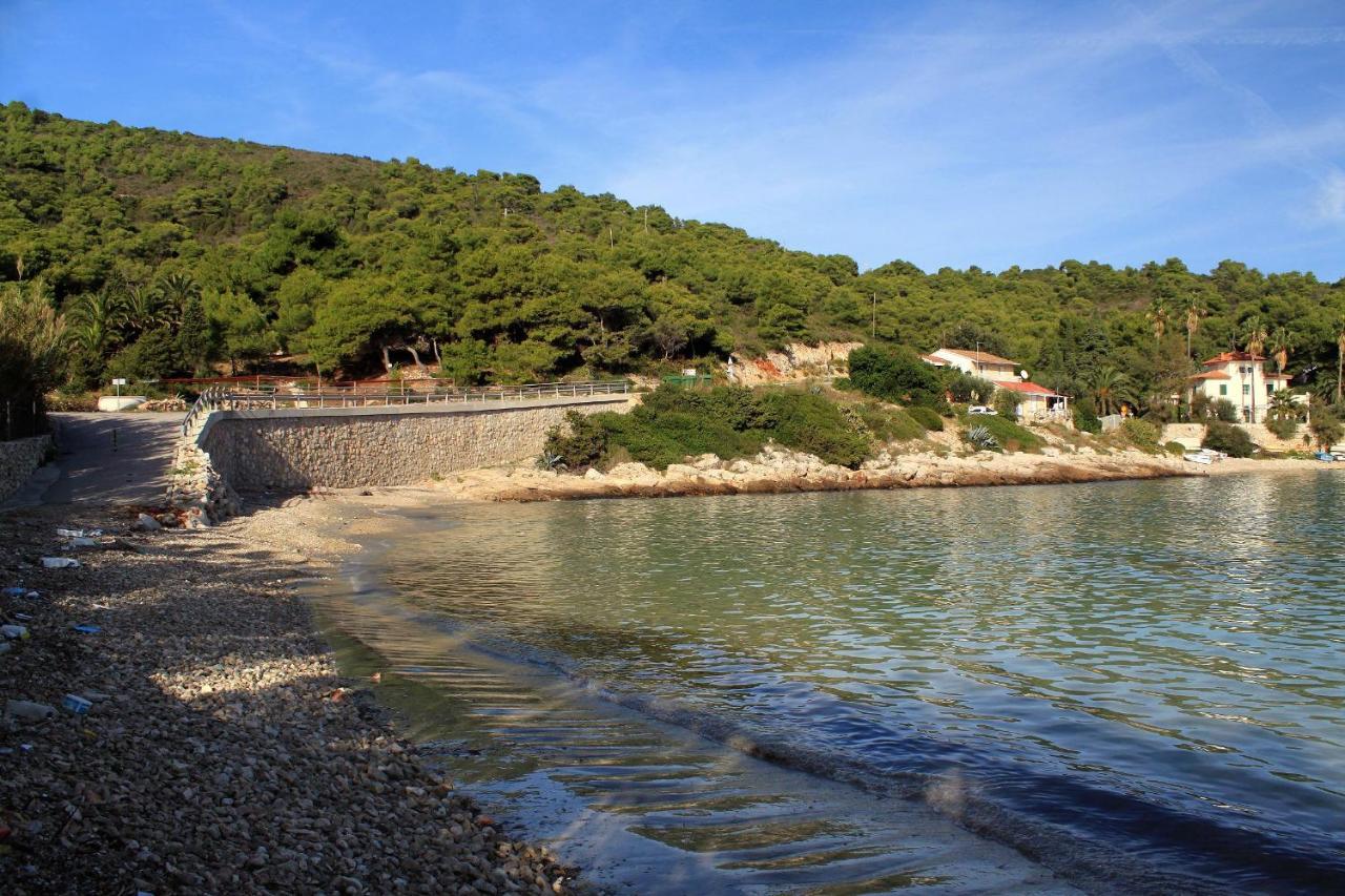 Apartments By The Sea Milna, Vis - 8944 Kültér fotó